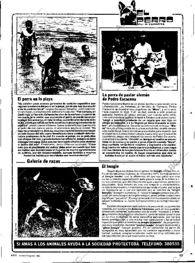 ABC SEVILLA 09-08-1984 página 63