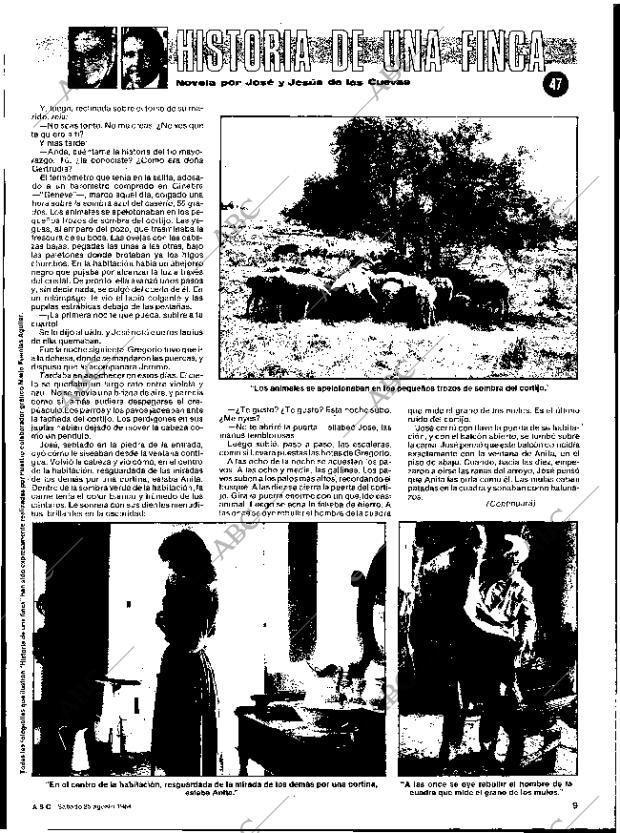 ABC SEVILLA 25-08-1984 página 9