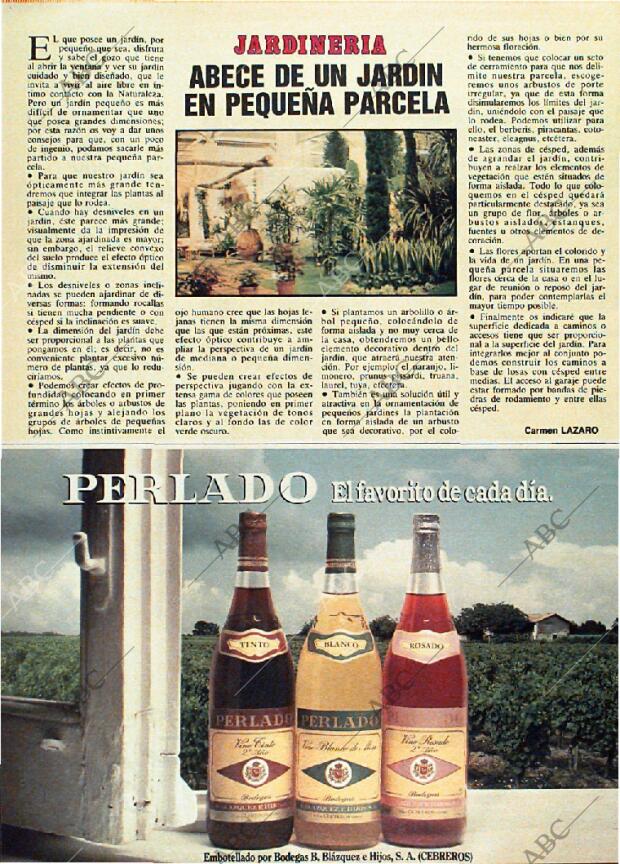 ABC MADRID 07-10-1984 página 156