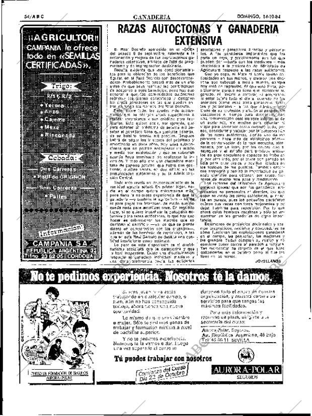 ABC SEVILLA 14-10-1984 página 54