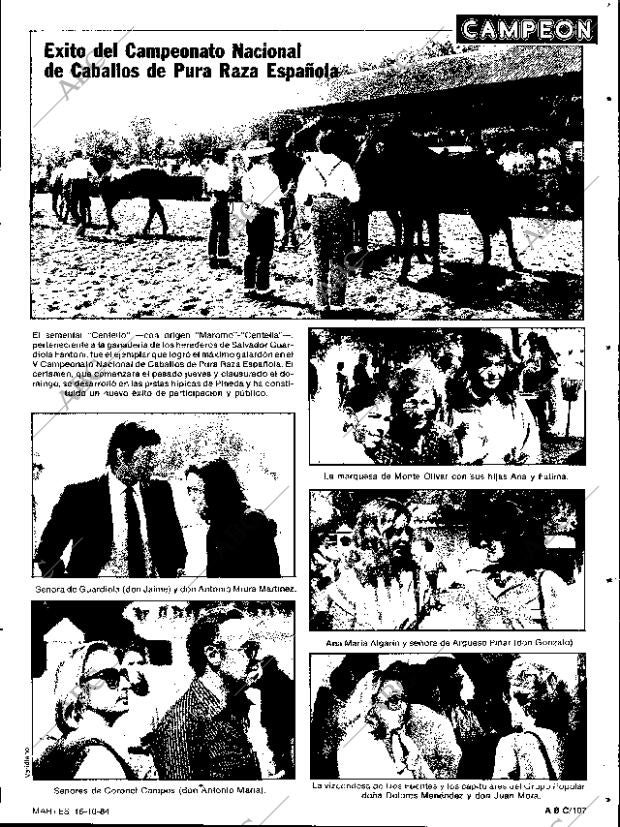 ABC SEVILLA 16-10-1984 página 107