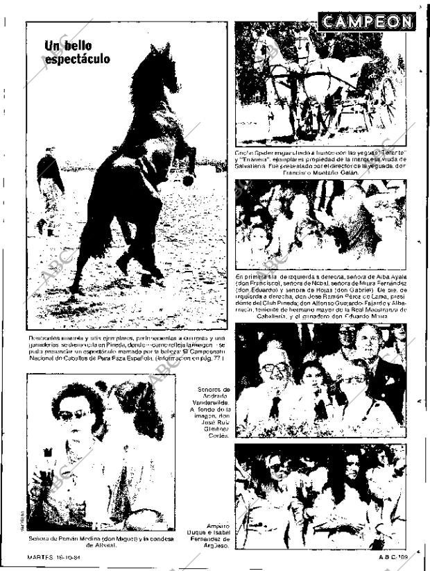 ABC SEVILLA 16-10-1984 página 109