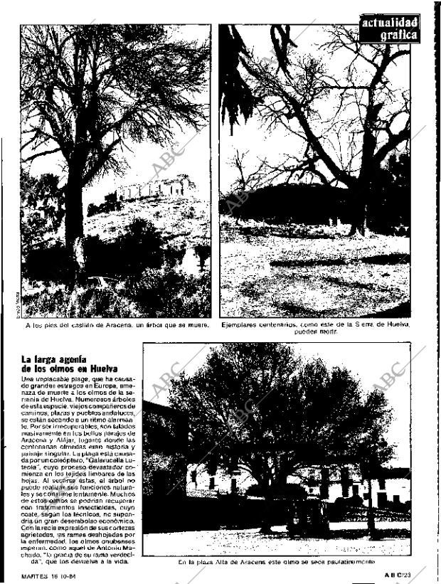 ABC SEVILLA 16-10-1984 página 23