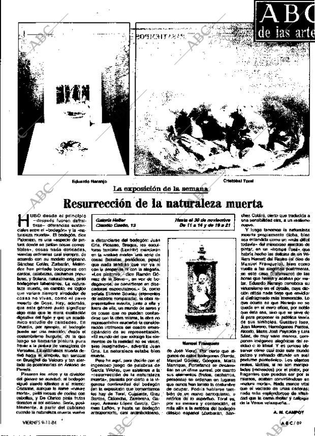 ABC MADRID 09-11-1984 página 89