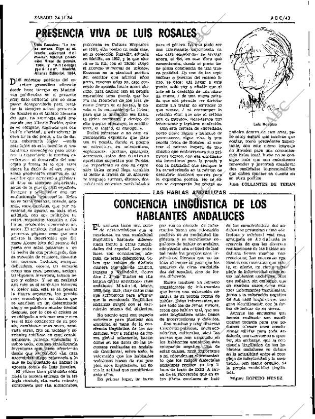 ABC SEVILLA 24-11-1984 página 43