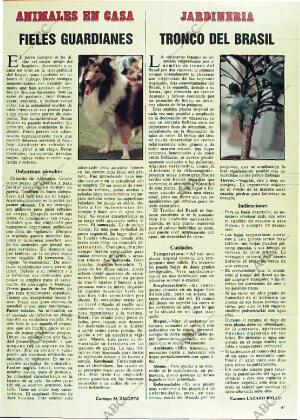 ABC MADRID 10-02-1985 página 153