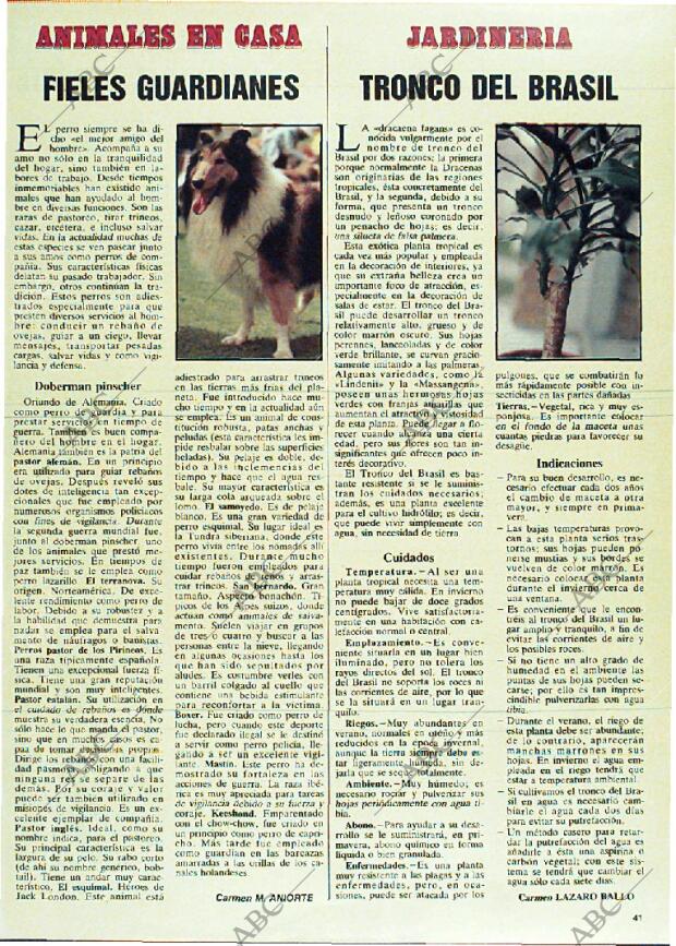 ABC MADRID 10-02-1985 página 153