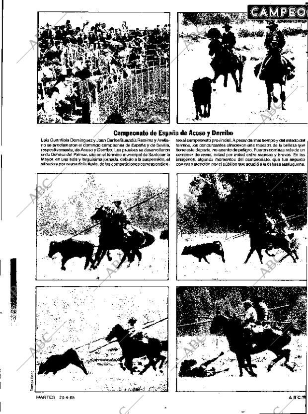 ABC SEVILLA 23-04-1985 página 99