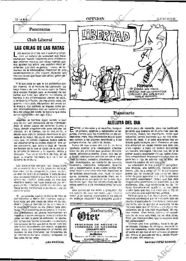 ABC MADRID 23-05-1985 página 22