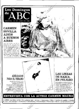 ABC MADRID 22-06-1985 página 116