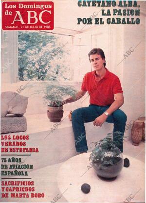 ABC MADRID 21-07-1985 página 113