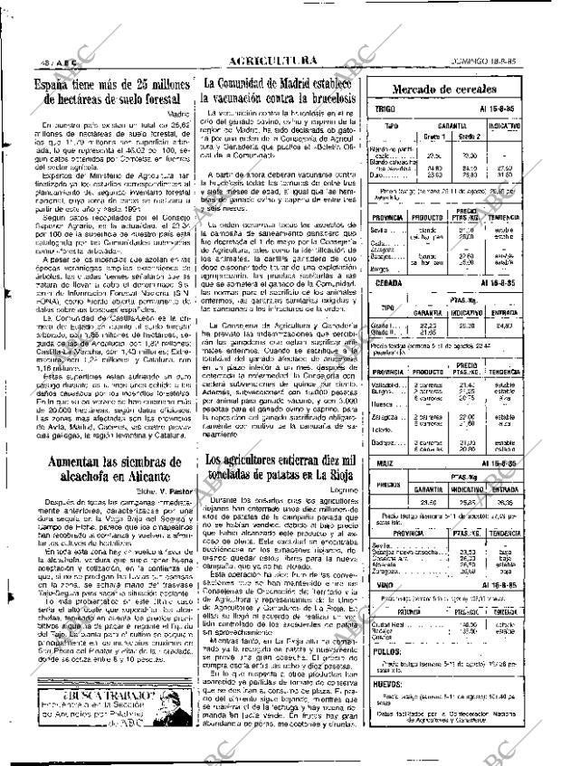 ABC MADRID 18-08-1985 página 48