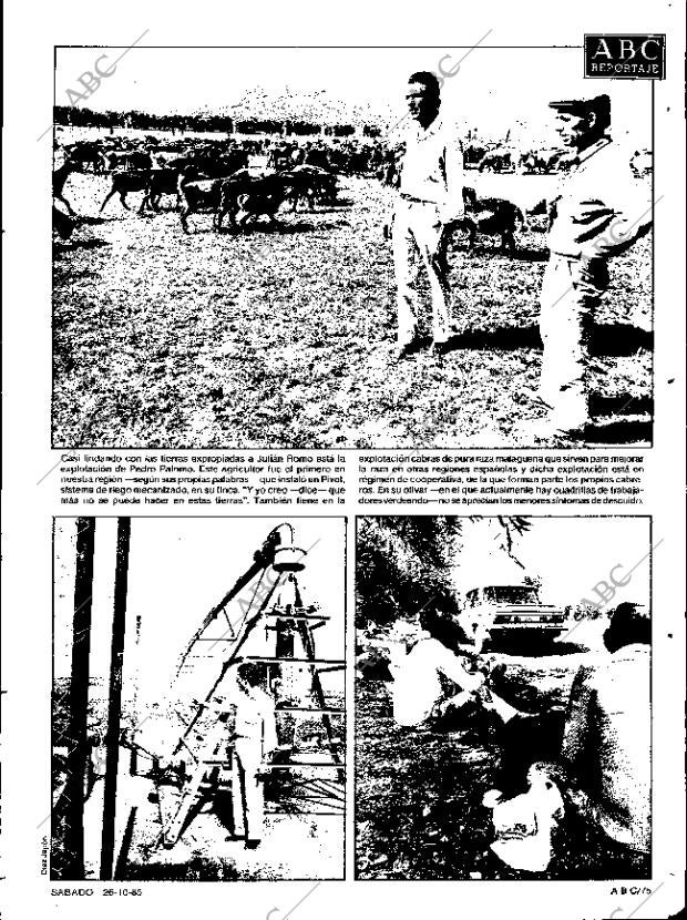 ABC SEVILLA 26-10-1985 página 75