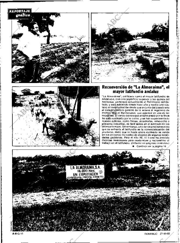ABC SEVILLA 27-10-1985 página 10