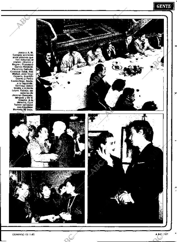 ABC MADRID 10-11-1985 página 107