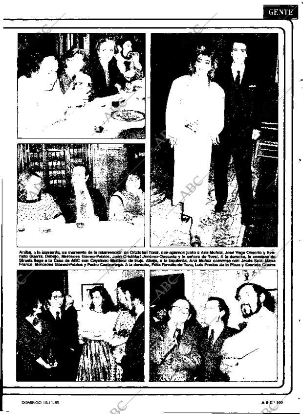 ABC MADRID 10-11-1985 página 109