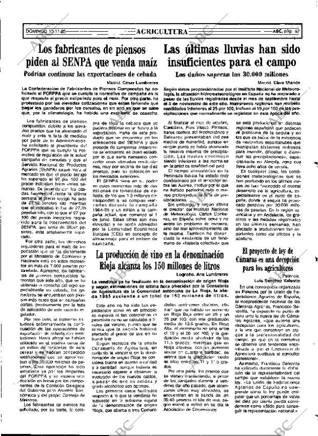 ABC MADRID 10-11-1985 página 67