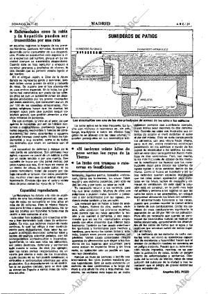 ABC MADRID 24-11-1985 página 39