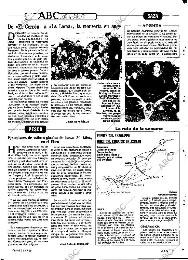 ABC MADRID 06-12-1985 página 107