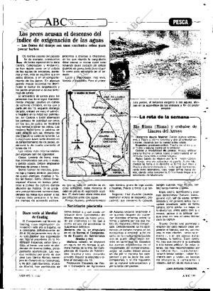 ABC MADRID 11-07-1986 página 99