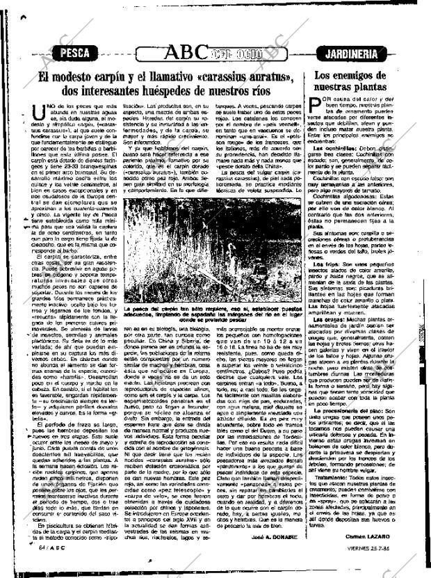 ABC MADRID 25-07-1986 página 84