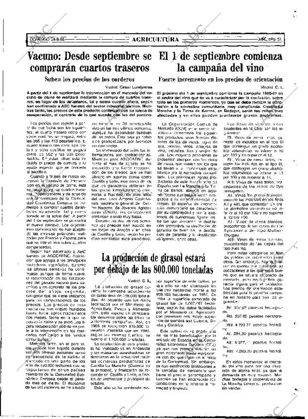 ABC MADRID 24-08-1986 página 51