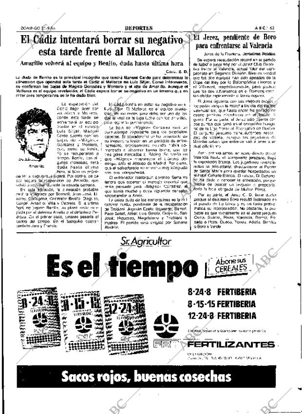ABC SEVILLA 21-09-1986 página 63