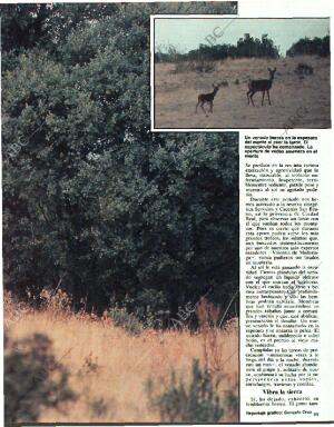 ABC MADRID 19-10-1986 página 139