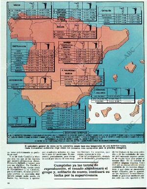 ABC MADRID 19-10-1986 página 142