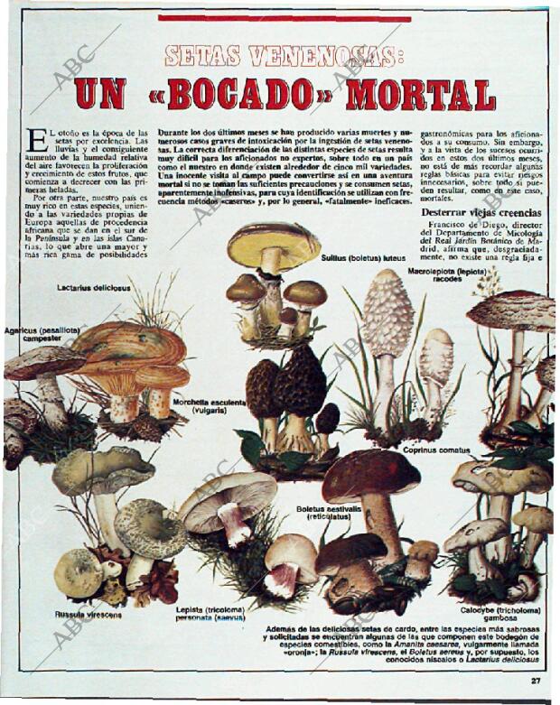 ABC MADRID 30-11-1986 página 163