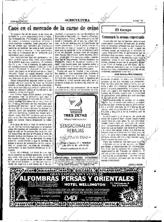 ABC MADRID 08-02-1987 página 75