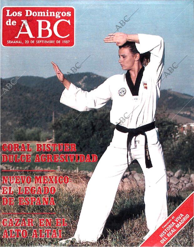 ABC MADRID 20-09-1987 página 161