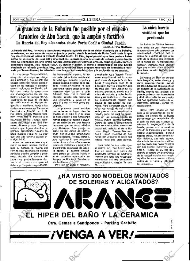 ABC SEVILLA 25-10-1987 página 63