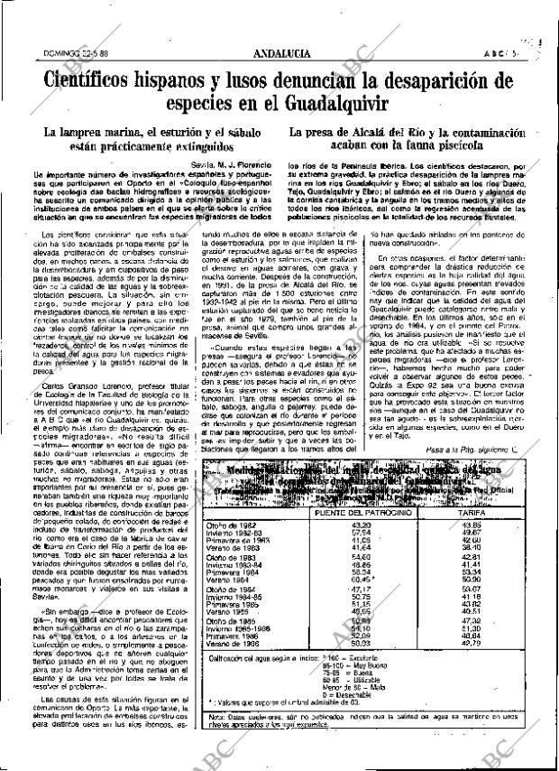 ABC SEVILLA 22-05-1988 página 51