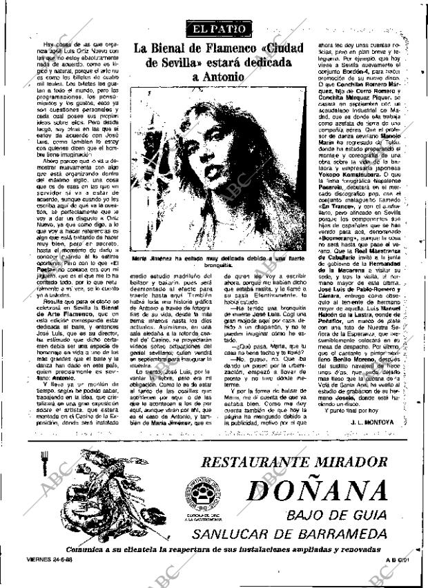 ABC SEVILLA 24-06-1988 página 91