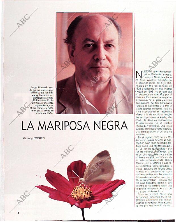 BLANCO Y NEGRO MADRID 10-07-1988 página 6