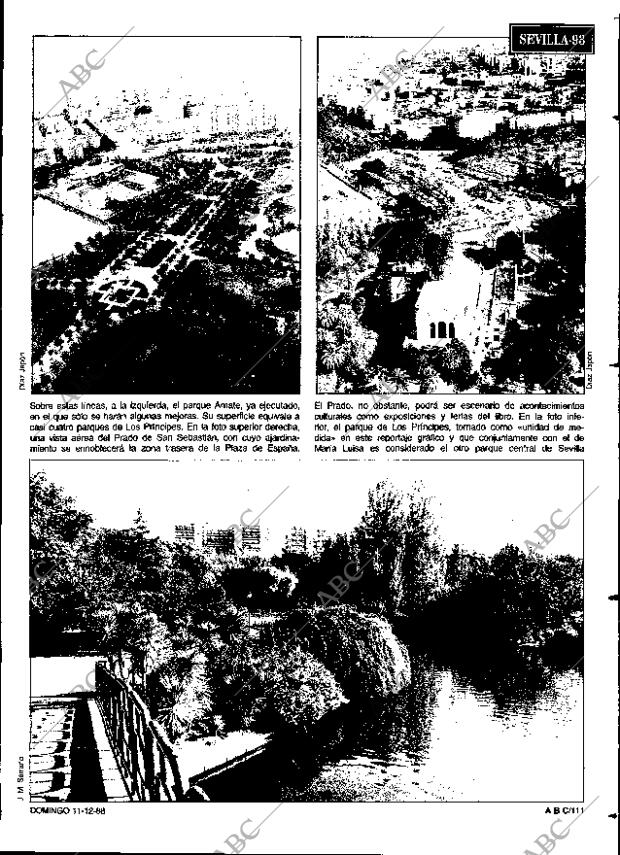 ABC SEVILLA 11-12-1988 página 111