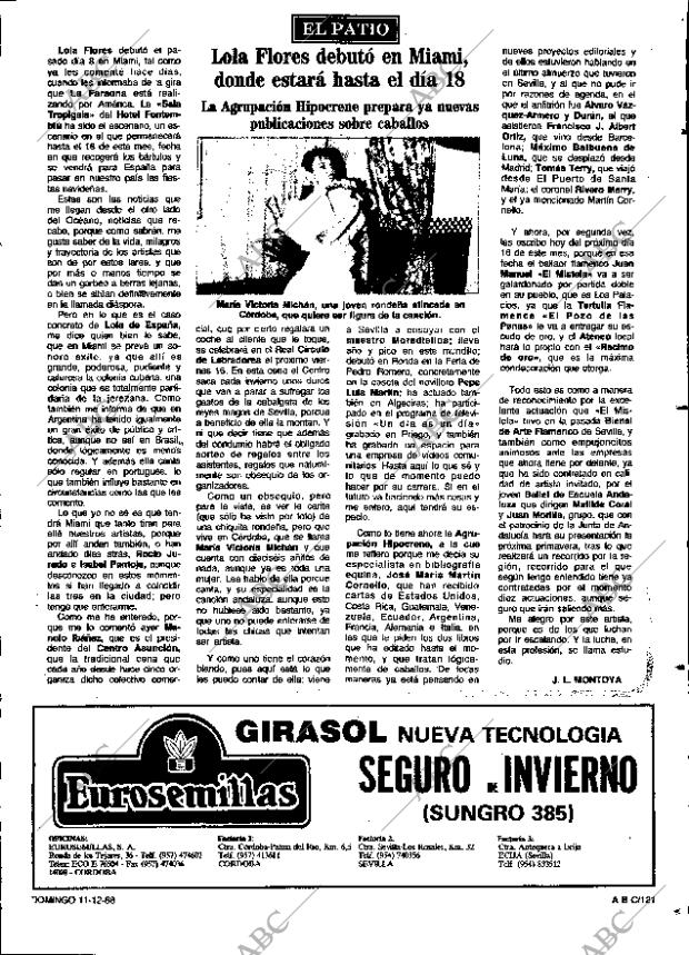 ABC SEVILLA 11-12-1988 página 121