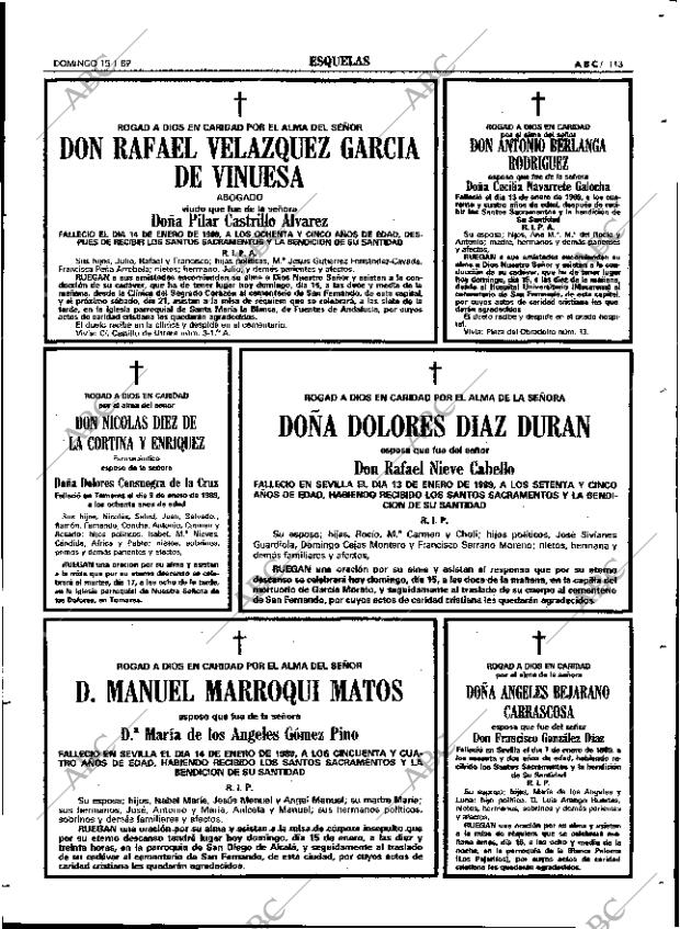 ABC SEVILLA 15-01-1989 página 113