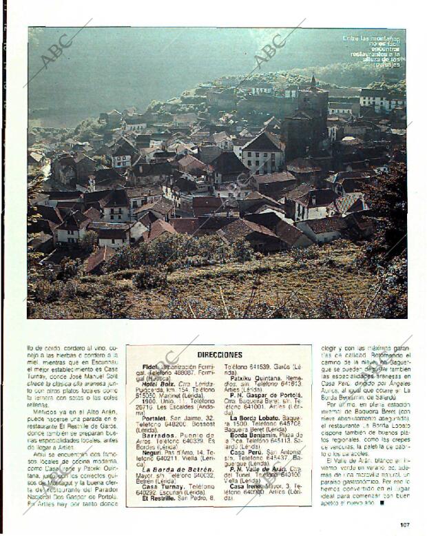 BLANCO Y NEGRO MADRID 15-01-1989 página 107