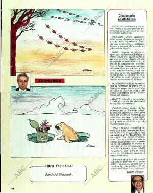 BLANCO Y NEGRO MADRID 15-01-1989 página 114