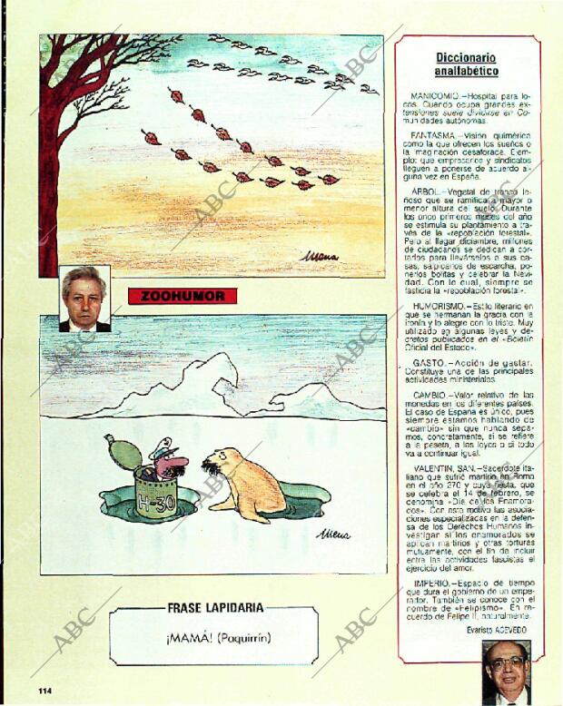 BLANCO Y NEGRO MADRID 15-01-1989 página 114