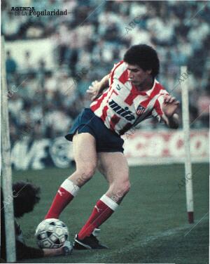 BLANCO Y NEGRO MADRID 15-01-1989 página 36