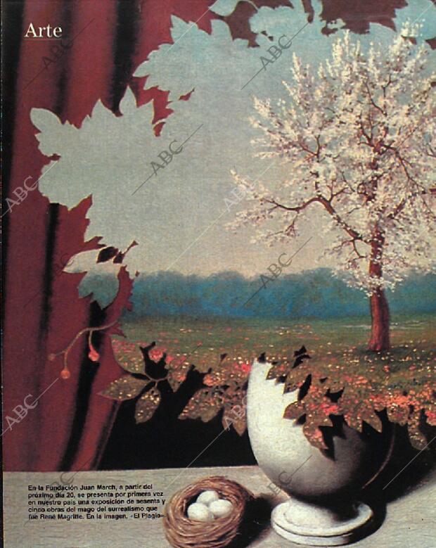 BLANCO Y NEGRO MADRID 15-01-1989 página 60