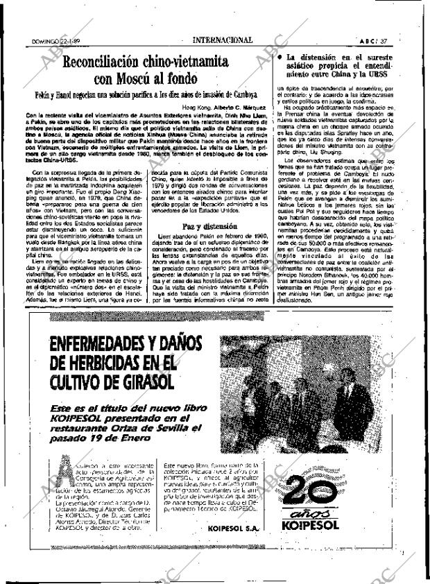 ABC SEVILLA 22-01-1989 página 37