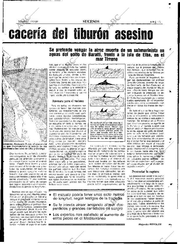 ABC MADRID 12-02-1989 página 73