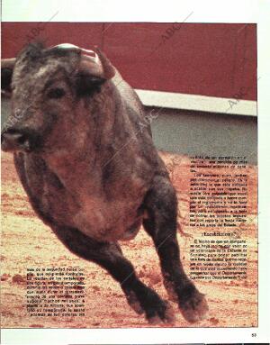 BLANCO Y NEGRO MADRID 26-02-1989 página 53