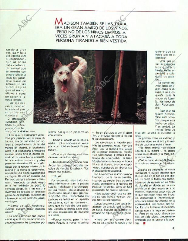 BLANCO Y NEGRO MADRID 12-03-1989 página 5