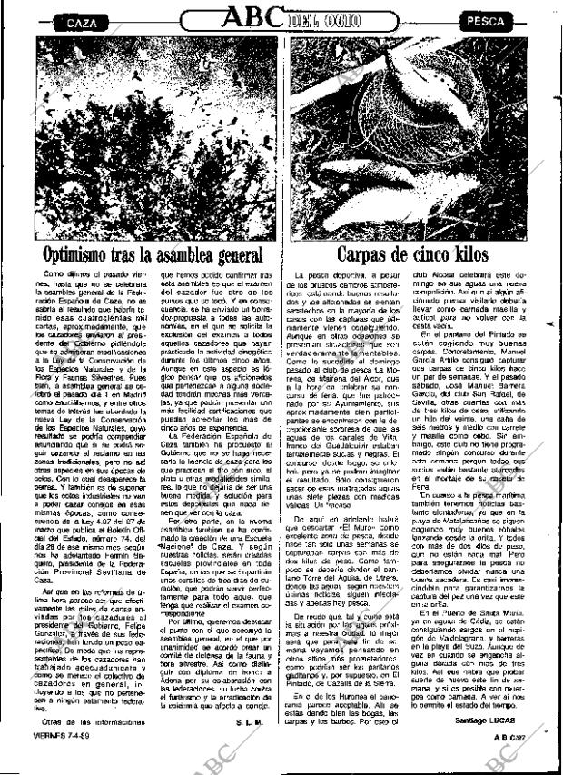 ABC SEVILLA 07-04-1989 página 97