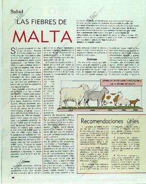 BLANCO Y NEGRO MADRID 16-04-1989 página 96